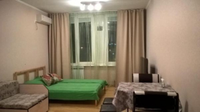 Apartment on Lysaya Gora